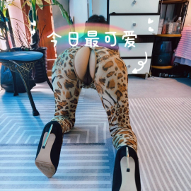 性奴小野猫
